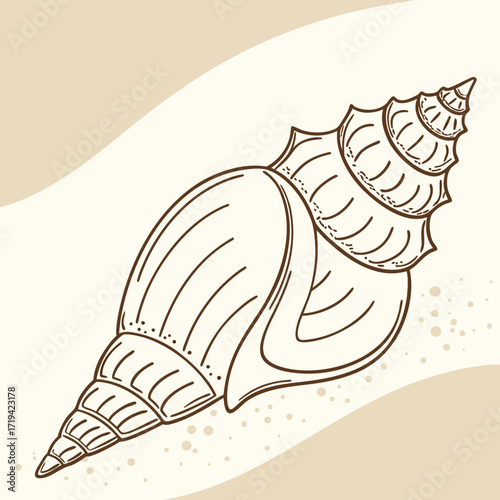 Elegant hand drawn illustration of a detailed seashell on a sandy beach background