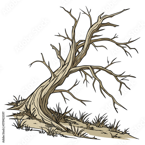 Stylized illustration of a gnarled leafless dead tree with dry grass on a white background
