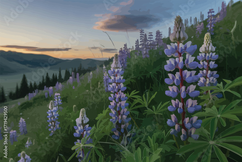 lavender flowers in the mountains