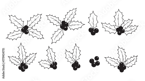 Hand drawn holly leaves and berries collection festive christmas winter holiday design elements silhouette