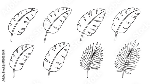 Collection of hand drawn sketchy feather and leaf silhouettes diverse botanical elements silhouette