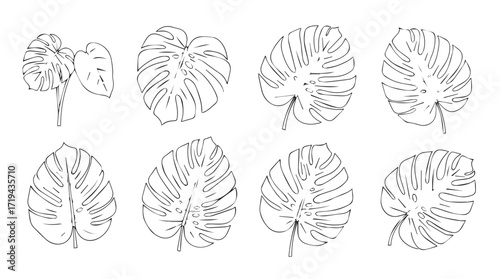 Abstract stylized brain anatomical views line art simplified neural network patterns silhouette