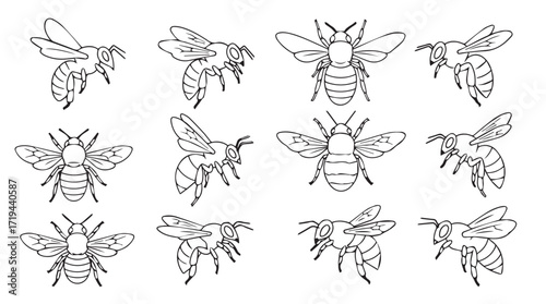 Detailed hand drawn bees in various poses and angles scientific insect study collection silhouette