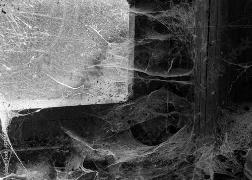 A room abandoned by man, covered with a layer of dust, cobwebs and flies