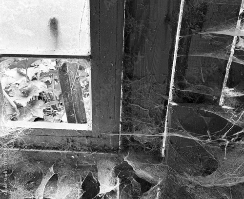 A room abandoned by man, covered with a layer of dust, cobwebs and flies