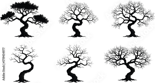 Tree silhouettes, seasonal growth illustration, black and white design, bare and full branches art, nature figure, decorative graphic, minimal style, botanical element, natural background