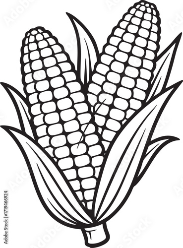 Corn on the Cob: Detailed black and white illustration captures the fresh beauty of two corn cobs, offering a clean and classic representation of the natural agricultural bounty.