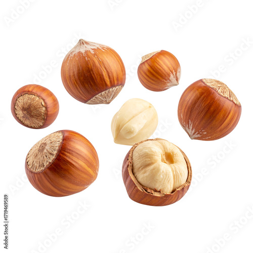 Wallpaper Mural Falling hazelnuts isolated  Torontodigital.ca