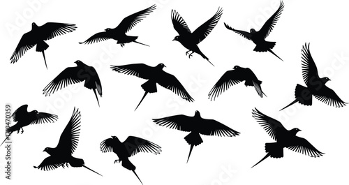 Black silhouette illustration of twelve birds in varied flight positions, showcasing dynamic wing motion and graceful aerial movement.