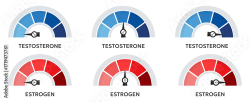 Hormone gauge collection with testosterone and estrogen levels. Colorful meters show balance indicators. Perfect for medical, biology, or health presentations