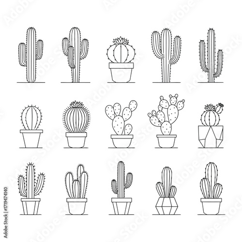 Vector illustration of assortment of potted cactus plants in various shapes and sizes