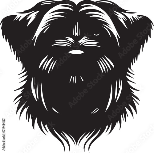 Briard Dog in Black and White – Elegant French Herding Breed Photography