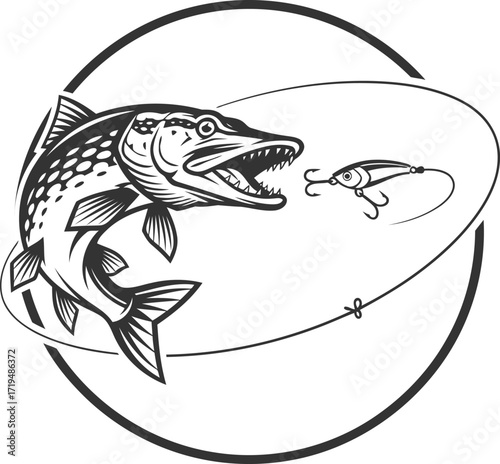 Pike fishing silhouette with an aggressive northern pike chasing a lure. Black and white vector
