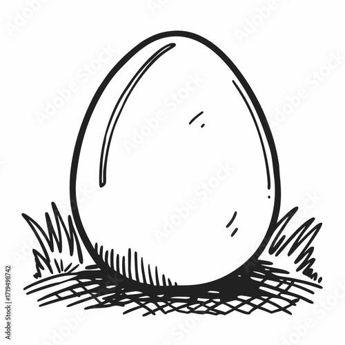 Ostrich egg illustration resting on grass in a sketch style  