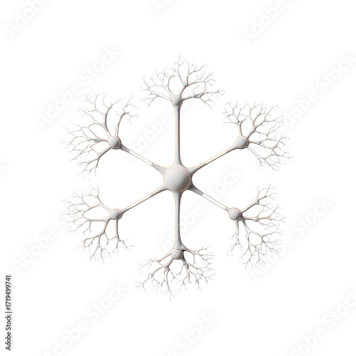 Abstract Fractal Snowflake Design Elegant White Network on Black Background