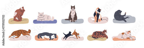 Cats on pet beds set. Cute funny kittenes, lazy home kitties lying, relaxing, sleeping, playing and grooming in cozy feline furniture, pillows. Flat vector illustration isolated on white background.