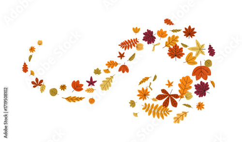 Autumn leaves in whirl, twirl, spin motion. Fall foliage swirling, twisting in air, vortex shapes. Maple, oak and birch leaf flying, falling. Flat vector illustration isolated on white background.