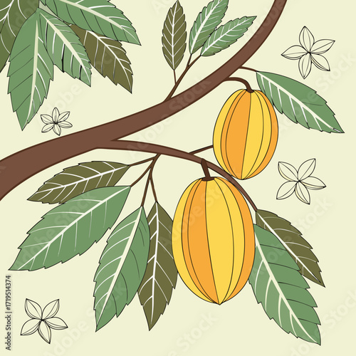 Yellow cacao pods ripening on a branch with green leaves and delicate flowers