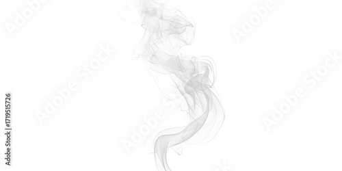Obraz na plátne Wisps of ethereal smoke dancing in the darkness a ghostly ballet of impermanence