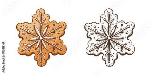 Hand drawn vintage sketch set of gingerbread cookie snowflake with icing decoration in color and monochrome