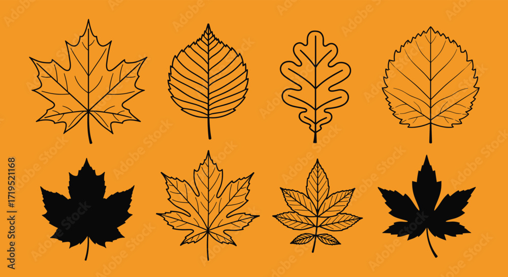 Fototapeta premium A collection of various distinct leaf illustrations in autumn colors.