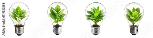 Four light bulbs with plants isolated on transparent background