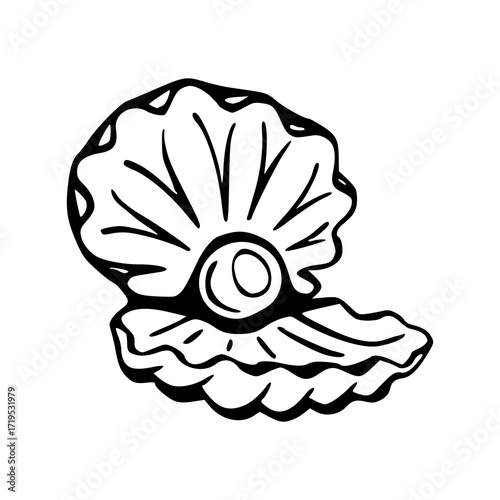 open oyster shell with a pearl