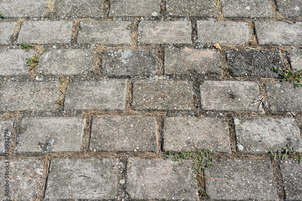 Fototapeta premium Old dirty stone road, a beautiful background for the designer with empty space