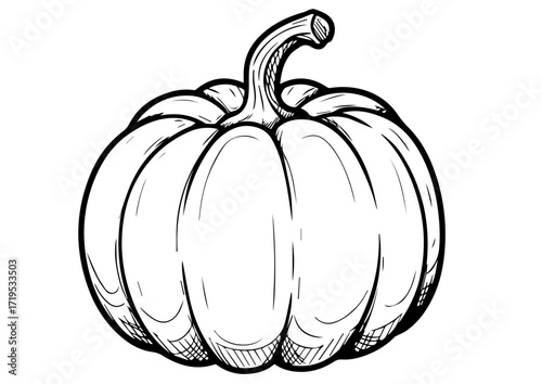 Hand-drawn pumpkin illustration in black and white style  