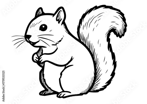 Squirrel holding a nut in its paws with bushy tail raised  