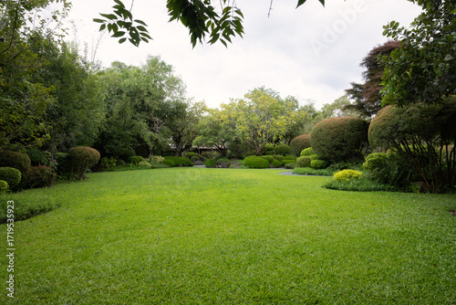 Empty outdoor space in green garden with grass lawn on ground surrounded by lush plants and trees. Represents natural scenery with fresh air suit for product display backgrounds, landscaping visuals.