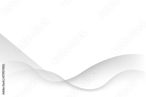 white abstract line smooth wave shape modern background. texture white pattern. vector illustration