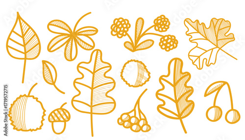 Autumn doodle set with leaves, acorns, berries and chestnuts. Freehand sketch style, simple line drawing, vector illustration. Isolated on white background, perfect for seasonal design, packaging, sti
