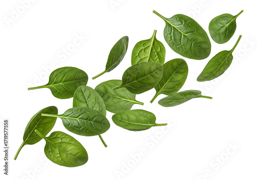 Fresh Green Spinach Leaves Flying Isolated on White Background - Healthy Ingredient & Superfood Concept