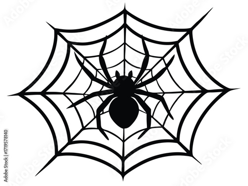 spider on web silhouette icon design on white background