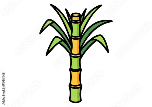 Bamboo illustration in a minimalist style with decorative elements for nature-themed design