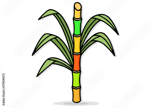 Bamboo illustration in a minimalist style with decorative elements for nature-themed design