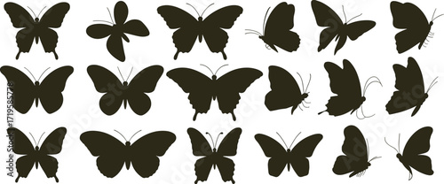 Butterfly silhouette vector, insect wing shapes, black icons set, flying insect illustration, nature creature design, entomology graphic, white background, elegant forms