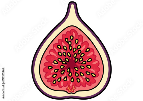 Cross-section of a ripe fig with vibrant seeds in an illustrative style for culinary use