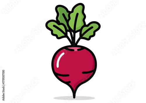 Illustration of a purple radish with green leaves on a white background