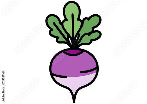 Illustration of a purple radish with green leaves on a white background