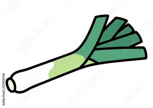 Illustration of fresh green leek with white bulb on a white background
