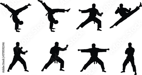 Martial arts silhouette, karate kick, kung fu pose, taekwondo stance, fighter training, combat movement, self defense practice, acrobatic jump, dynamic action, sports discipline, athlete performance,