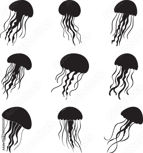 A collection of Black jellyfish tentacles and bell marine life ocean silhouette vector, black and white silhouette vector illustration