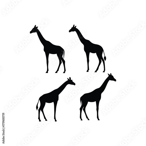 lack Giraffe Silhouettes Vector Pack Flat African Safari Animal Icons for Nature and Wildlife Designs