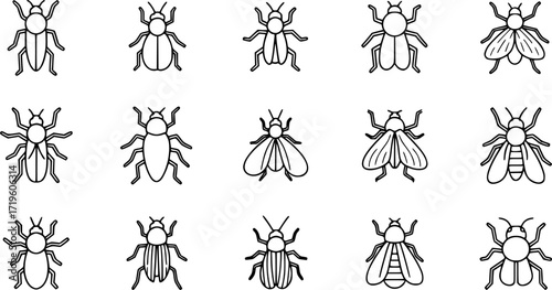 Set of simple insect line icons.