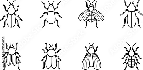 Set of simple insect line icons.