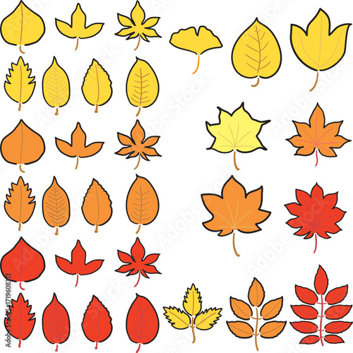 紅葉の葉のセット
