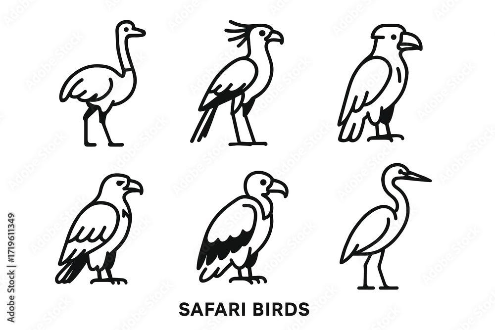 Obraz premium Iconic safari birds collection: ostrich, secretary, vulture, heron line art