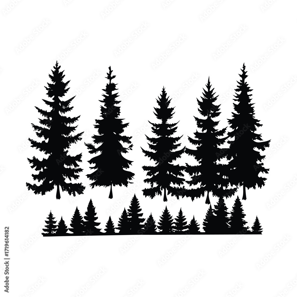 Fototapeta premium Black Coniferous Spruce and Pine Trees Silhouettes